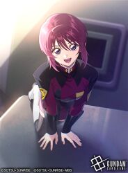 lunamaria hawke from gundam