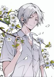 natsume takashi from natsume yuujinchou