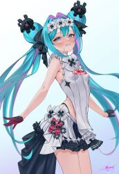 hatsune miku from vocaloid