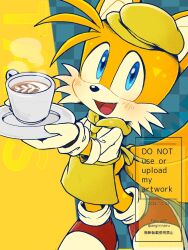 tails (sonic) from sonic (series) by misuta710