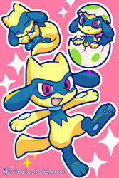 riolu from pokemon