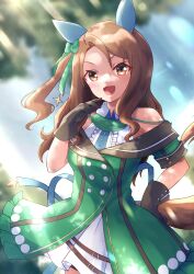 king halo (umamusume) from umamusume