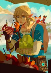 link from the legend of zelda