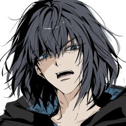 oberon (fate) from fate/grand order