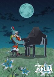 kass from the legend of zelda