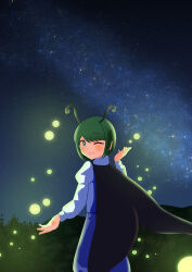 wriggle nightbug from touhou