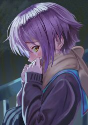 nagato yuki from suzumiya haruhi no shoushitsu