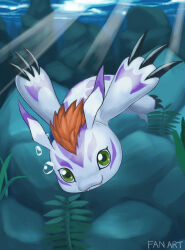 gomamon from digimon