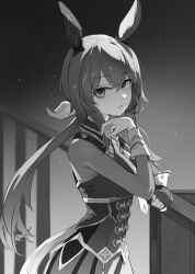 admire vega (umamusume) from umamusume