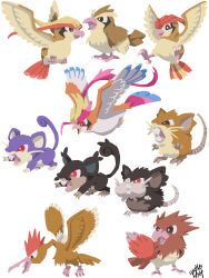 alolan raticate from pokemon