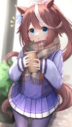 tokai teio (umamusume) from umamusume