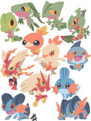 blaziken from pokemon