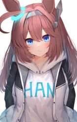 mihono bourbon (umamusume) from umamusume