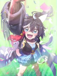 katsuragi ace (umamusume) from umamusume