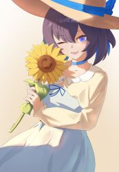 seele vollerei from honkai (series)