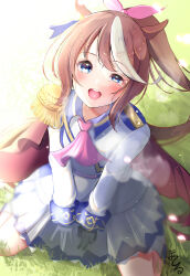 tokai teio (umamusume) from umamusume