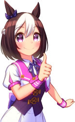 special week (umamusume) from umamusume by sugimotty nova