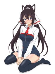 shinonono houki from infinite stratos