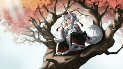 inubashiri momiji from touhou