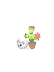 maractus from pokemon