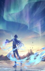 flins (genshin impact) from genshin impact