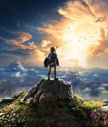 link from the legend of zelda