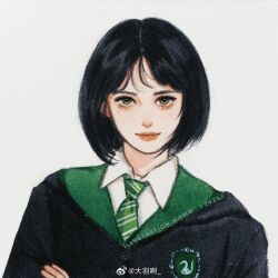 harry potter (series) fan art