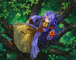 sara (fire emblem) from fire emblem