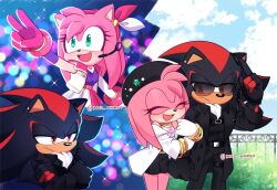 amy rose from sonic (series)