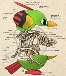 natu from pokemon