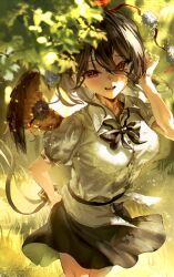 shameimaru aya from touhou