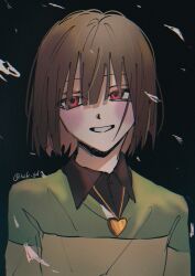 chara (undertale) from undertale