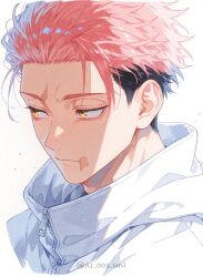 jujutsu kaisen fan art