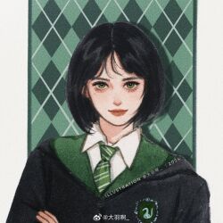 harry potter (series) fan art