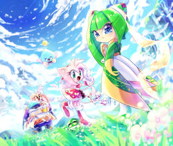 amy rose from sonic (series)