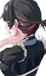 ellen joe from zenless zone zero