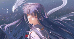 kikyou (inuyasha) from inuyasha