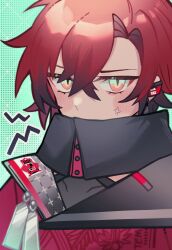 machina x flayon from holostars