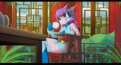 sash lilac from freedom planet