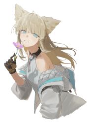 perlica (arknights) from arknights by lupinu5