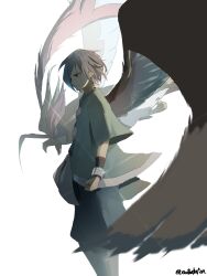 falkner (pokemon) from pokemon
