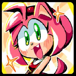 amy rose from sonic (series)