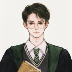 harry potter (series) fan art