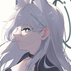 shiroko terror (blue archive) from blue archive