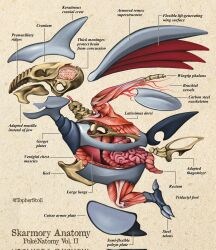 skarmory from pokemon