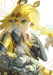ju fufu from zenless zone zero