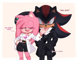 amy rose from sonic (series)
