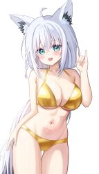 shirakami fubuki from hololive