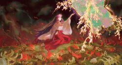 kikyou (inuyasha) from inuyasha