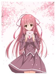 misakura rin from sakura no uta